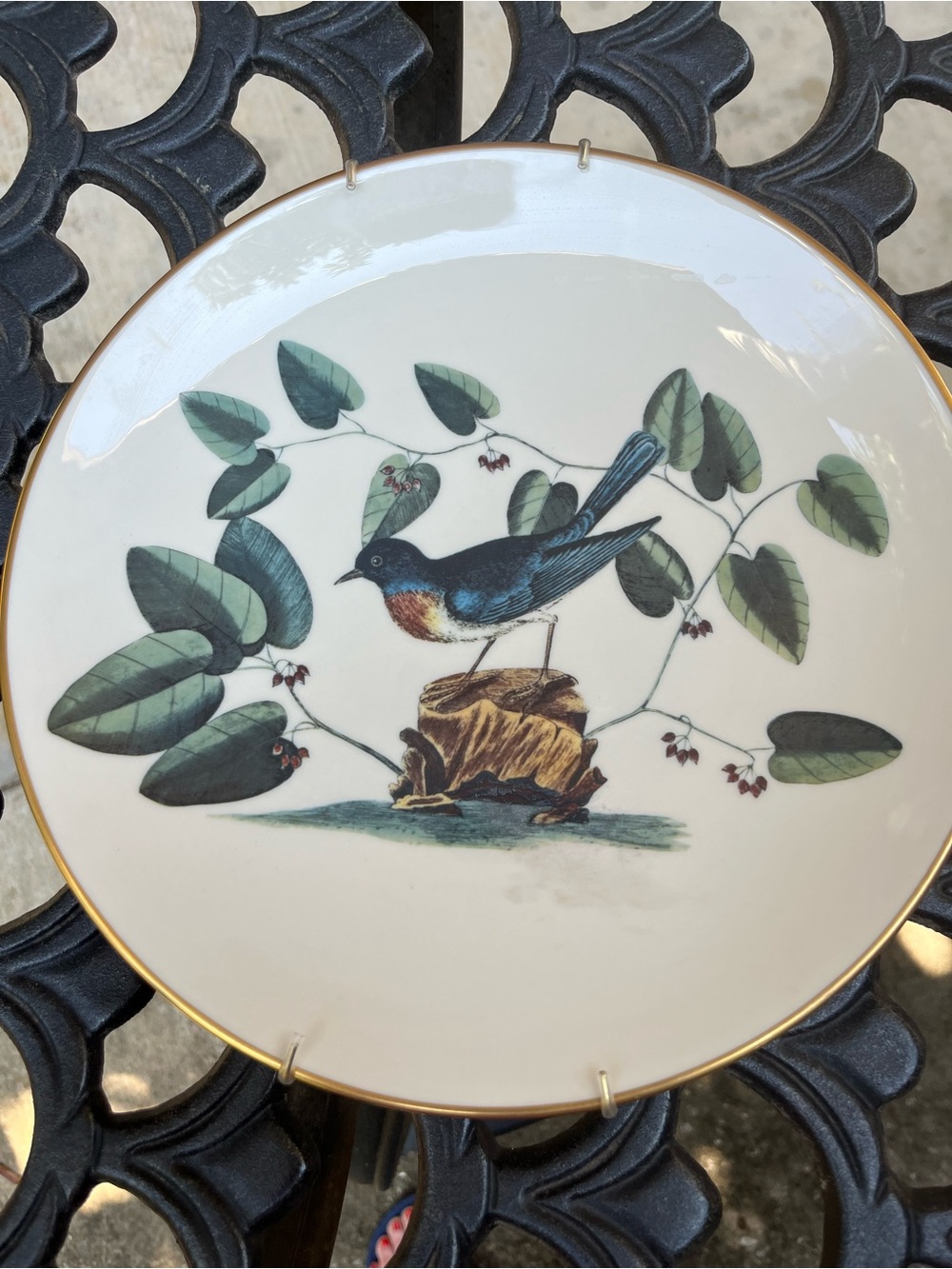 Vintage The Bluebird Gorham original Watercolor by Mark Catesby